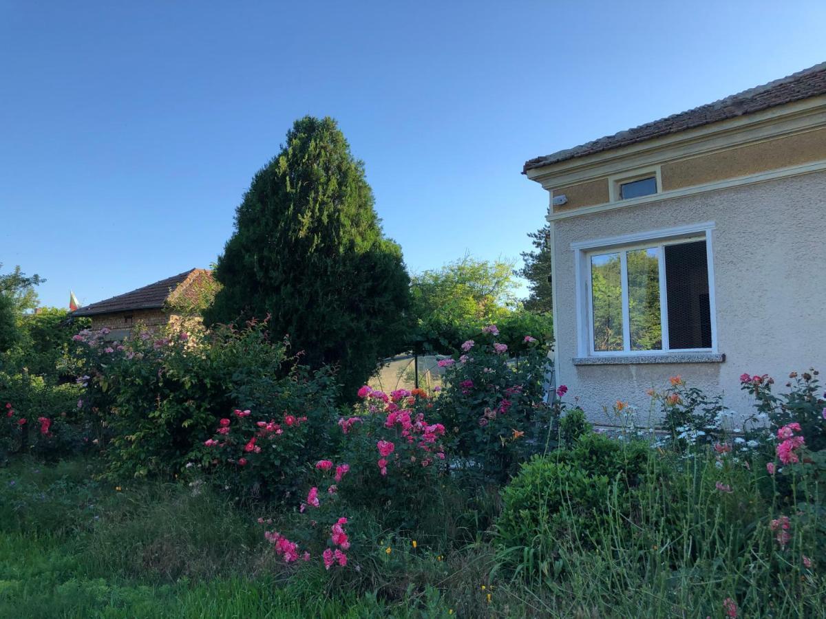 Rose Garden
